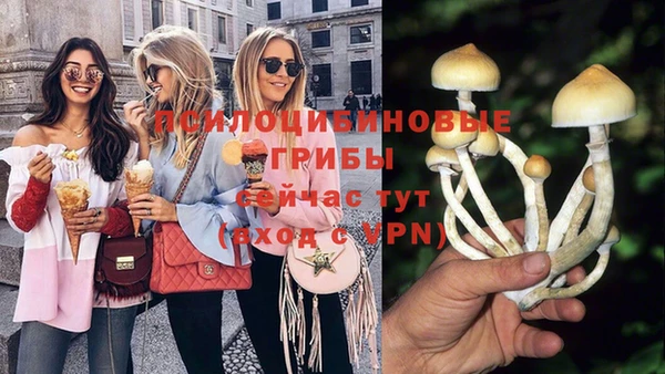 МДМА Алексеевка