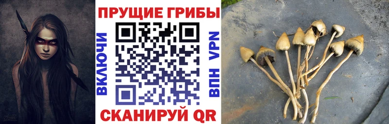 Галлюциногенные грибы MAGIC MUSHROOMS  Ишим 